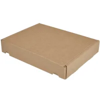 קופסה מקרטון חום - 305x240x50 מ"מ