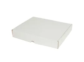 תמונה של מוצר קופסה מקרטון לבן - 310x270x50 מ"מ