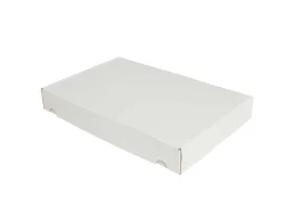 תמונה של מוצר קופסה מקרטון לבן - 372x252x50 מ"מ