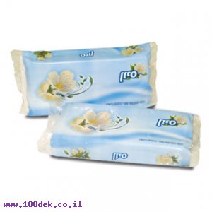 נייר טישו דו שכבתי - 100 ממחטות בשקית